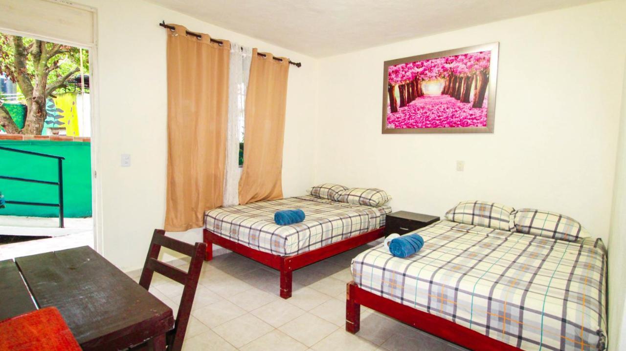 Hotel Vias Maya 巴卡拉尔 外观 照片