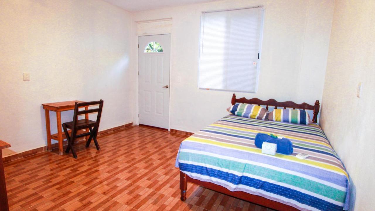 Hotel Vias Maya 巴卡拉尔 外观 照片