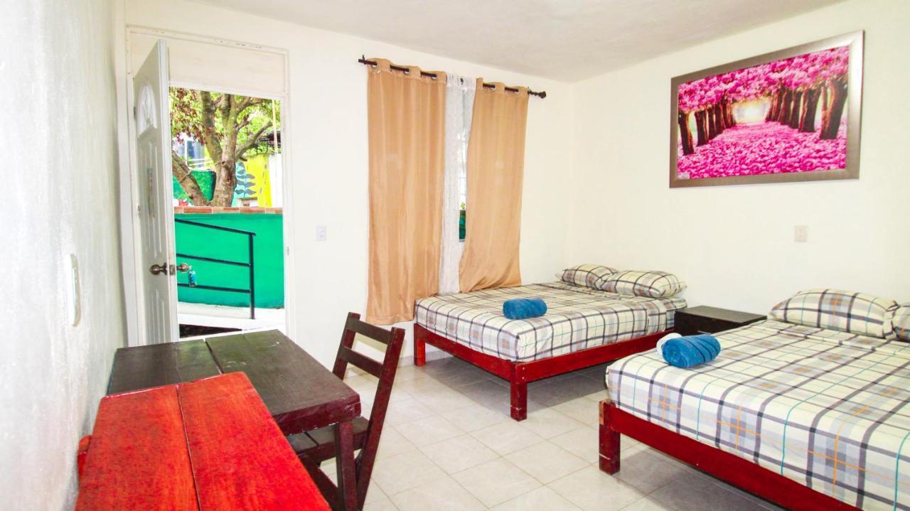 Hotel Vias Maya 巴卡拉尔 外观 照片